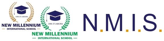 N.M.I.S.